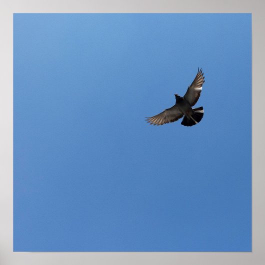 Cool Moderne vliegende vogel eenvoudig modern desi Poster (Voorkant)