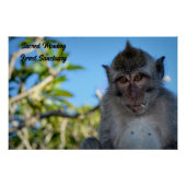 Cool Monkey Foto Perfect Poster (Voorkant)