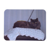 Cool Nebelung Magneet (Horizontaal)
