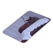 Cool Nebelung Magneet (Linkerzijde)