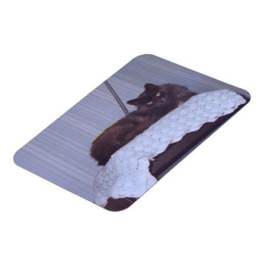 Cool Nebelung Magneet (Linkerzijde)