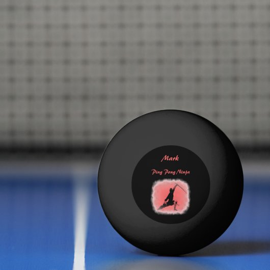 Cool Ninja Warrior Pingpongbal (Net)