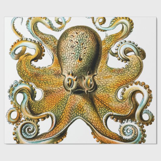Cool  Octopus Cadeaupapier (Vlak)