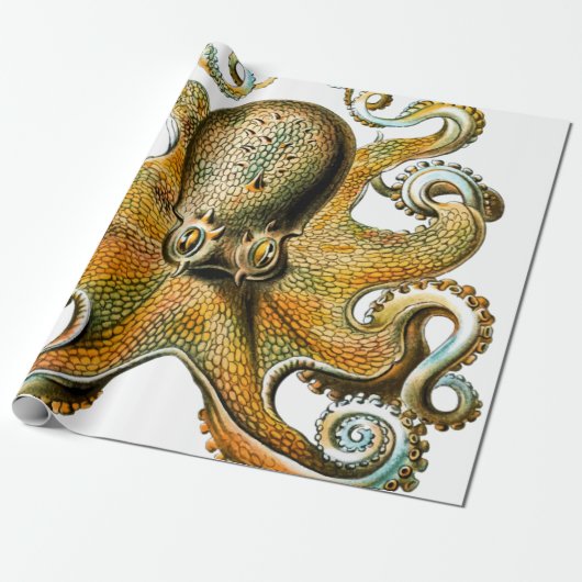 Cool  Octopus Cadeaupapier (Uitgerold)