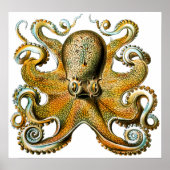 Cool  Octopus Poster (Voorkant)