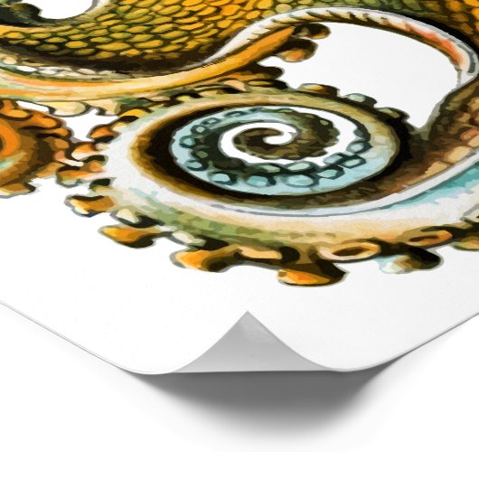 Cool  Octopus Poster (Hoek)