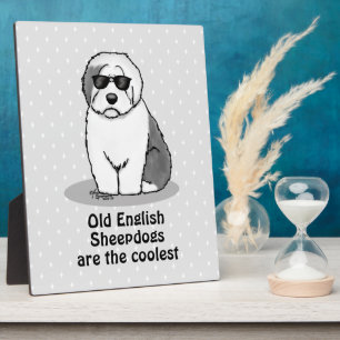Cool Old English Sheepdog (Grey 1) Cute Funny Fotoplaat
