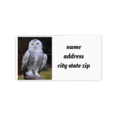 **COOL OWL* ADRESETIKETTEN ETIKET (Voorkant)