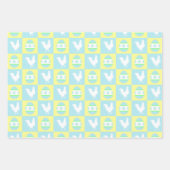 Cool Paas Checkerboard Patroon Haan Eieren Inpakpapier Vel (Voorkant 2)