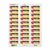 Cool Palm,Hibiscus,Goud Adreslabel Etiket (Full Sheet)