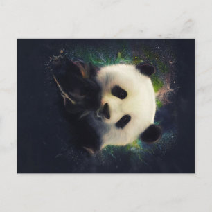 Cool Panda   Beer van Bamboe   Cadeaubont Aankondigingskaart