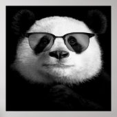 Cool Panda Poster | Cute Panda Lover (Voorkant)