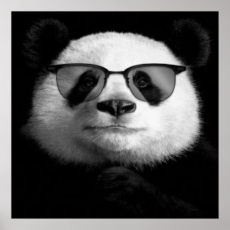 Cool Panda Poster | Cute Panda Lover