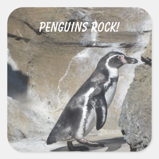 Cool Penguin Vierkante Sticker (Voorkant)