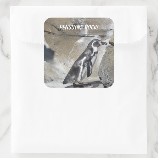 Cool Penguin Vierkante Sticker (Tas)