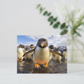 Cool Penguins Briefkaart (Staand voorkant)