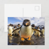 Cool Penguins Briefkaart (Voorkant / Achterkant)