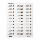 Cool Pet Rescue Art Etiket (Full Sheet)