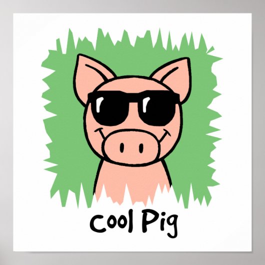 Cool Pig Poster (Voorkant)