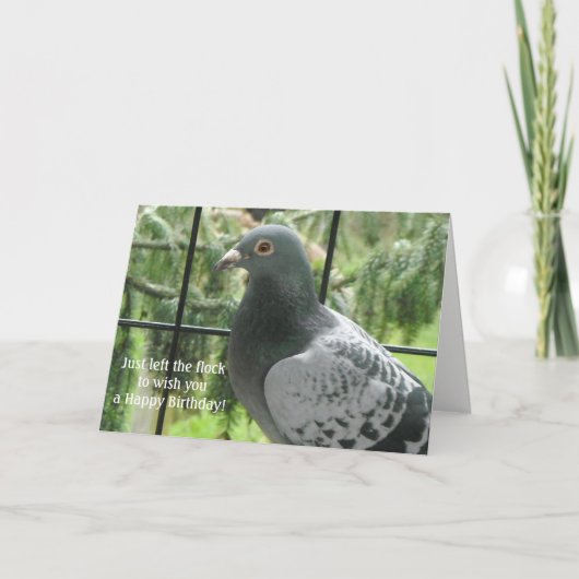 Cool Pigeon Birthday Kaart (Voorkant)