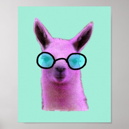 Cool Pink Llama Poster (Voorkant)