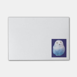 Cool Post-it Snowy Owl Post-it® Notes