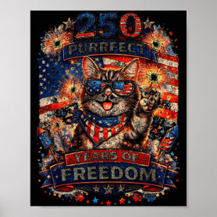 Cool Retro Kat 250 Jaar Patriotisch Amerikaans Poster