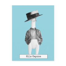 Cool Rubber Chicken Briefkaart