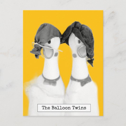 Cool Rubber Chickens Briefkaart (Voorkant)