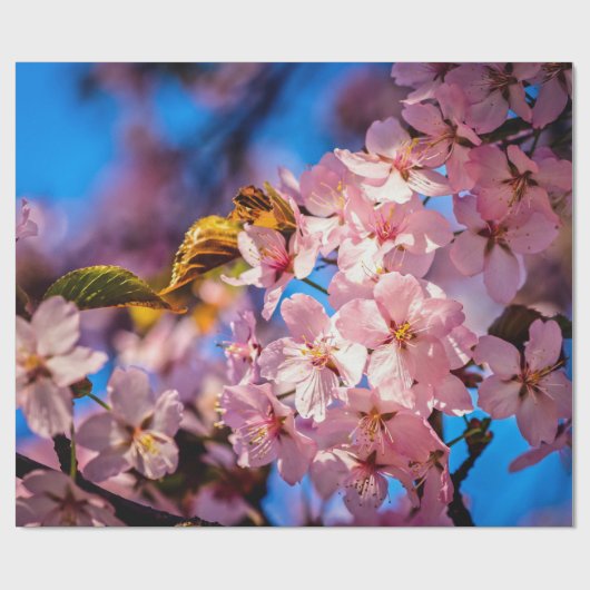 Cool Sakura Garland Cadeaupapier (Vlak)