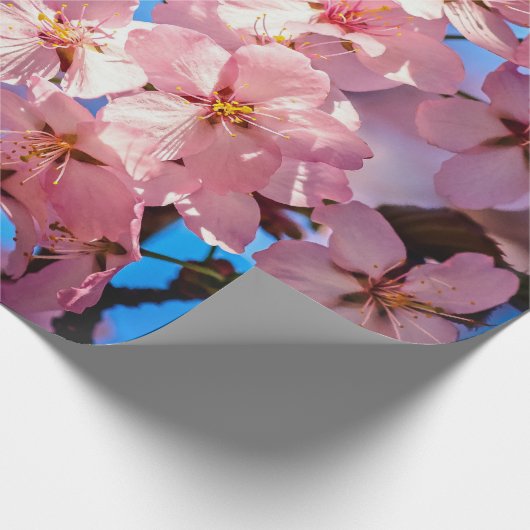 Cool Sakura Garland Cadeaupapier (Hoek)