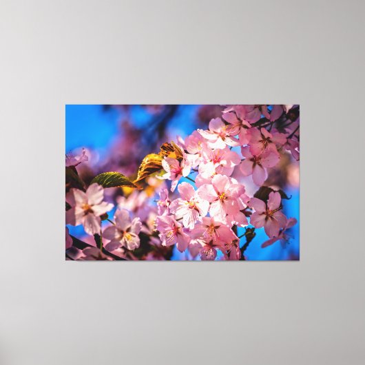 Cool Sakura Garland Canvas Afdruk (Voorkant)