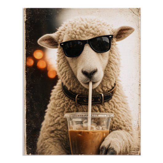 Cool Schaap Drinkt IJskoude Koffie Perfect Poster (Voorkant)