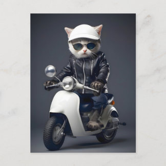 Cool Scooter Kat Gefeliciteerd Briefkaart