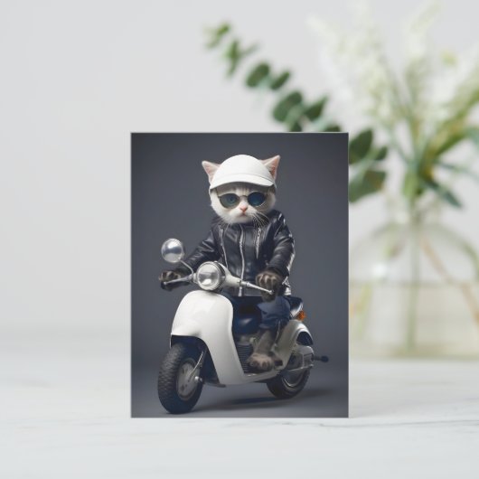 Cool Scooter Kat Gefeliciteerd Briefkaart (Staand voorkant)