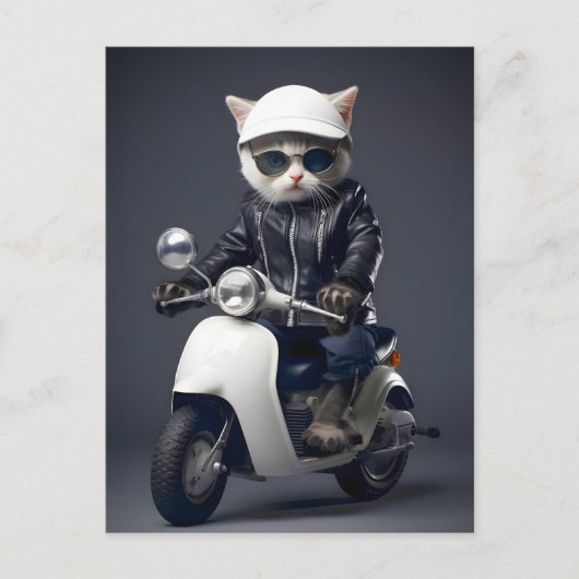 Cool Scooter Kitty Felicitaties Briefkaart (Voorkant)