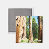 Cool Sequoia magneet! Magneet (Voorkant / Achterkant)