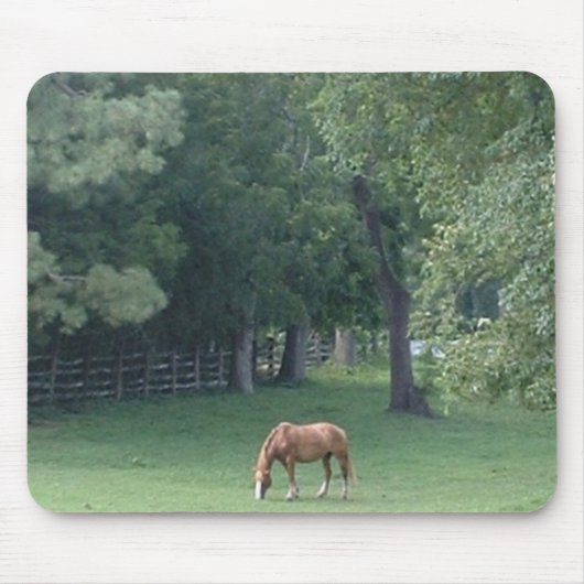 Cool Serenity - mousepad Muismat (Voorkant)