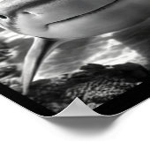 Cool Shark Animal Selfie  Poster (Hoek)