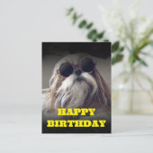 Cool Shih Tzu lang haar vintage foto verjaardag Briefkaart (Staand voorkant)