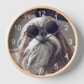 Cool Shih Tzu lange haar  zonnebril Foto (Voorkant)