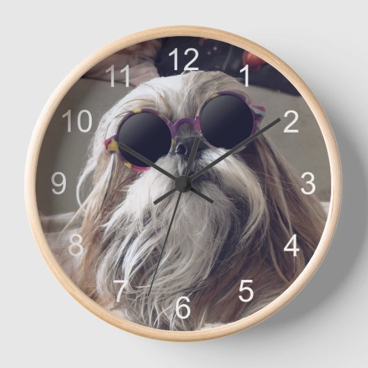 Cool Shih Tzu lange haar  zonnebril Foto (Voorkant)