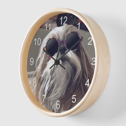 Cool Shih Tzu lange haar  zonnebril Foto (Hoek)