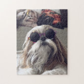 Cool Shih Tzu lange haar  zonnebril Foto Legpuzzel (Verticaal)