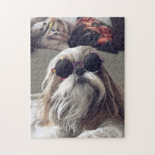 Cool Shih Tzu lange haar  zonnebril Foto Legpuzzel