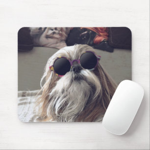 Cool Shih Tzu lange haar  zonnebril Foto Muismat
