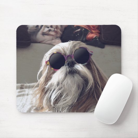 Cool Shih Tzu lange haar zonnebril Foto Muismat (Met muis)