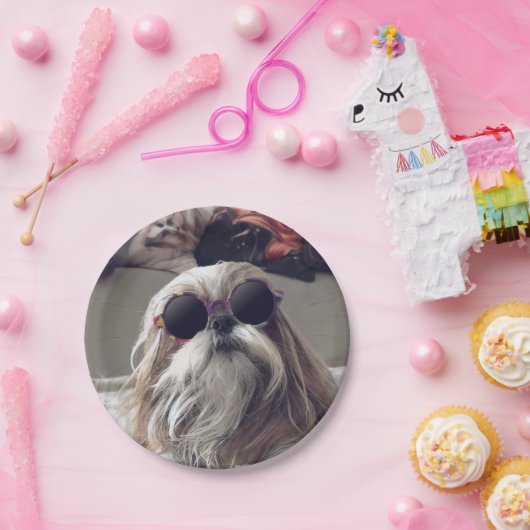 Cool Shih Tzu lange haar  zonnebril Foto Papieren Bordje (Feest)