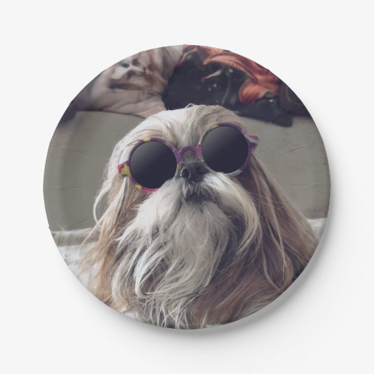 Cool Shih Tzu lange haar  zonnebril Foto Papieren Bordje (Voorkant)