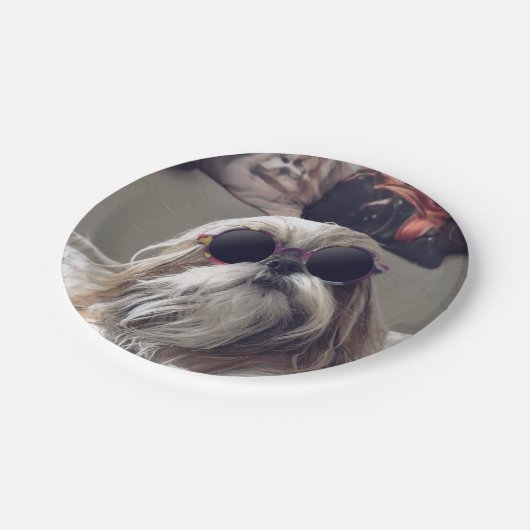 Cool Shih Tzu lange haar  zonnebril Foto Papieren Bordje (Gekanteld)
